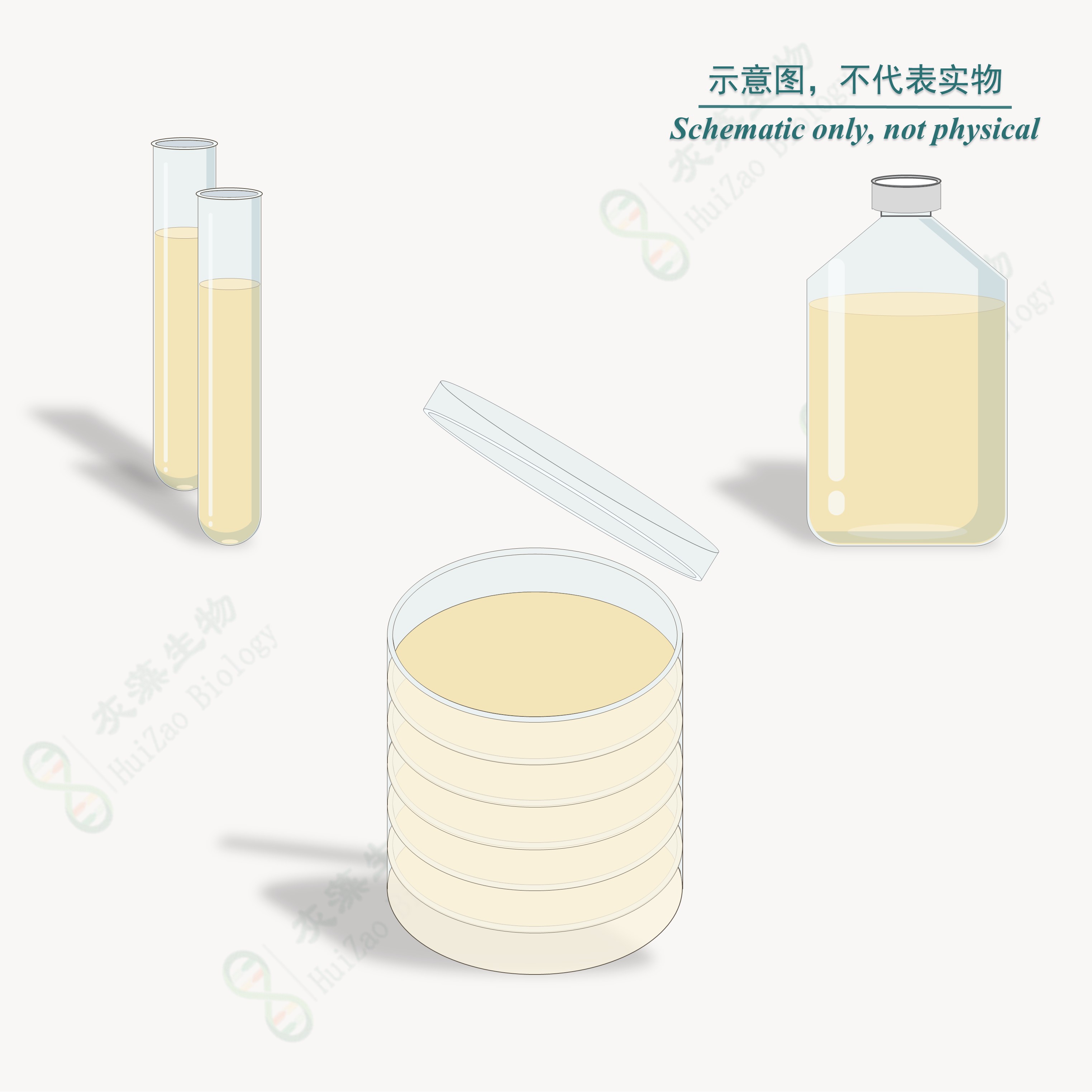 改良PYG液体培养基(DSMZ Medium 104) HZB875022 |产品详情-灰藻生物